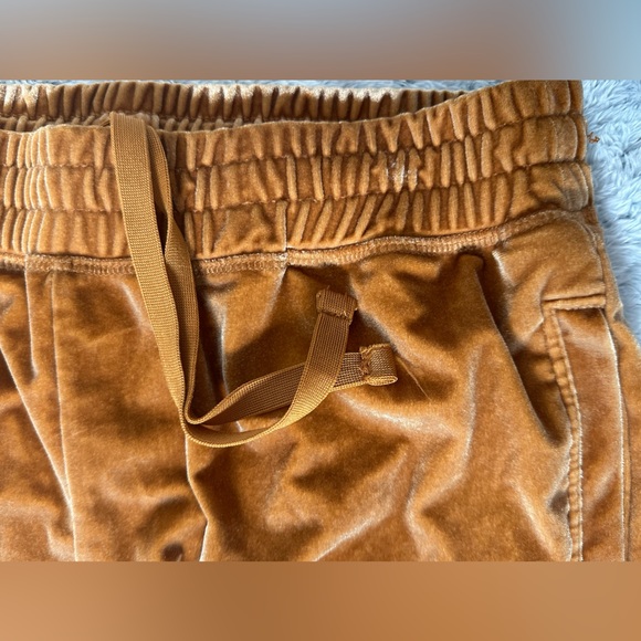 Fabletics Daria Velour Joggers in Light Honey - Picture 8 of 10